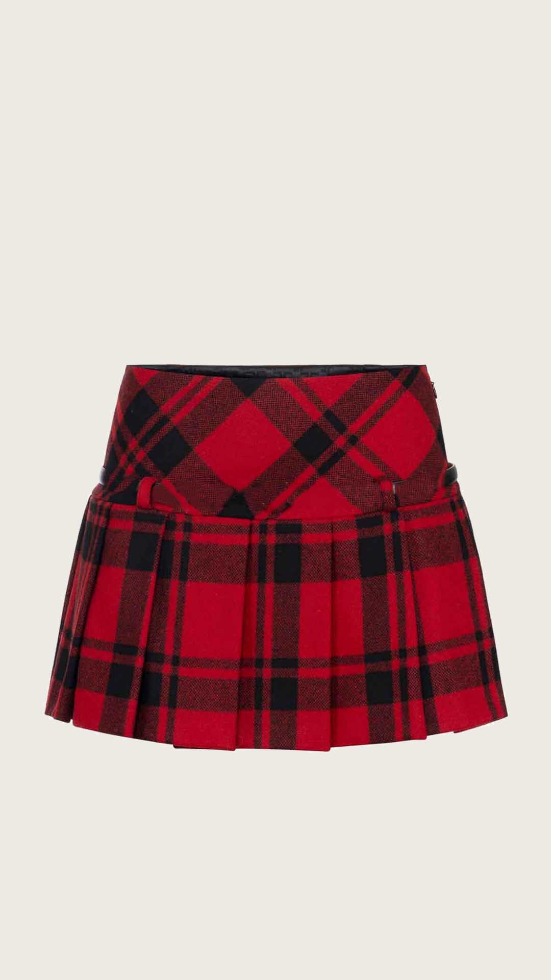 Elisabetta Franchi  gonna